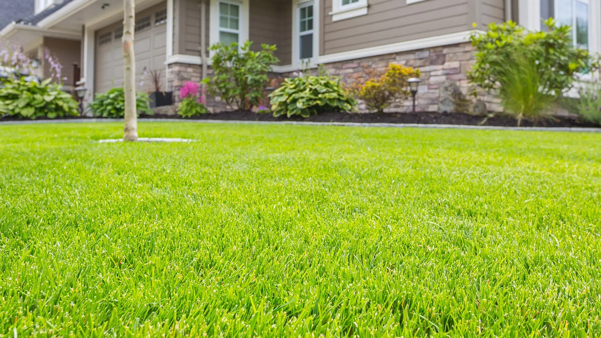 Lawn with mowing service near Elkhorn, NE.