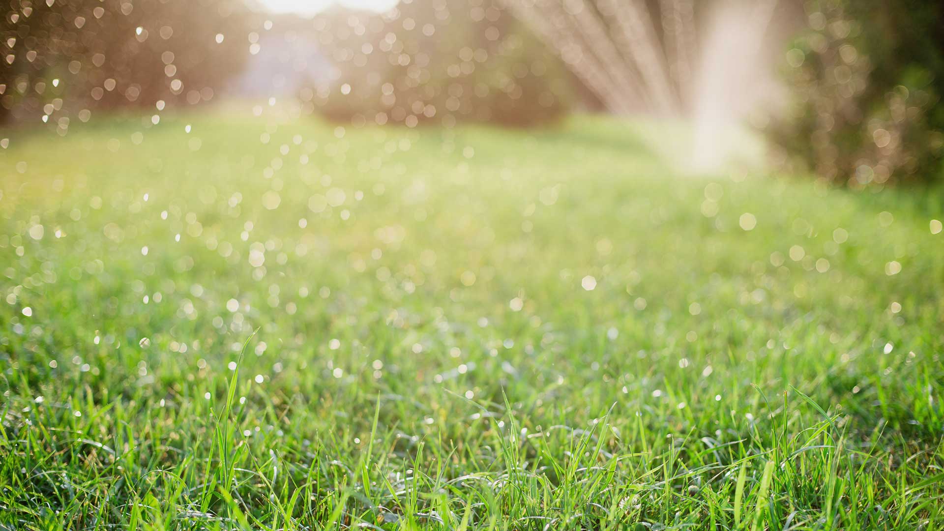 Newly installed irrigation system watering a home lawn in Omaha, NE.