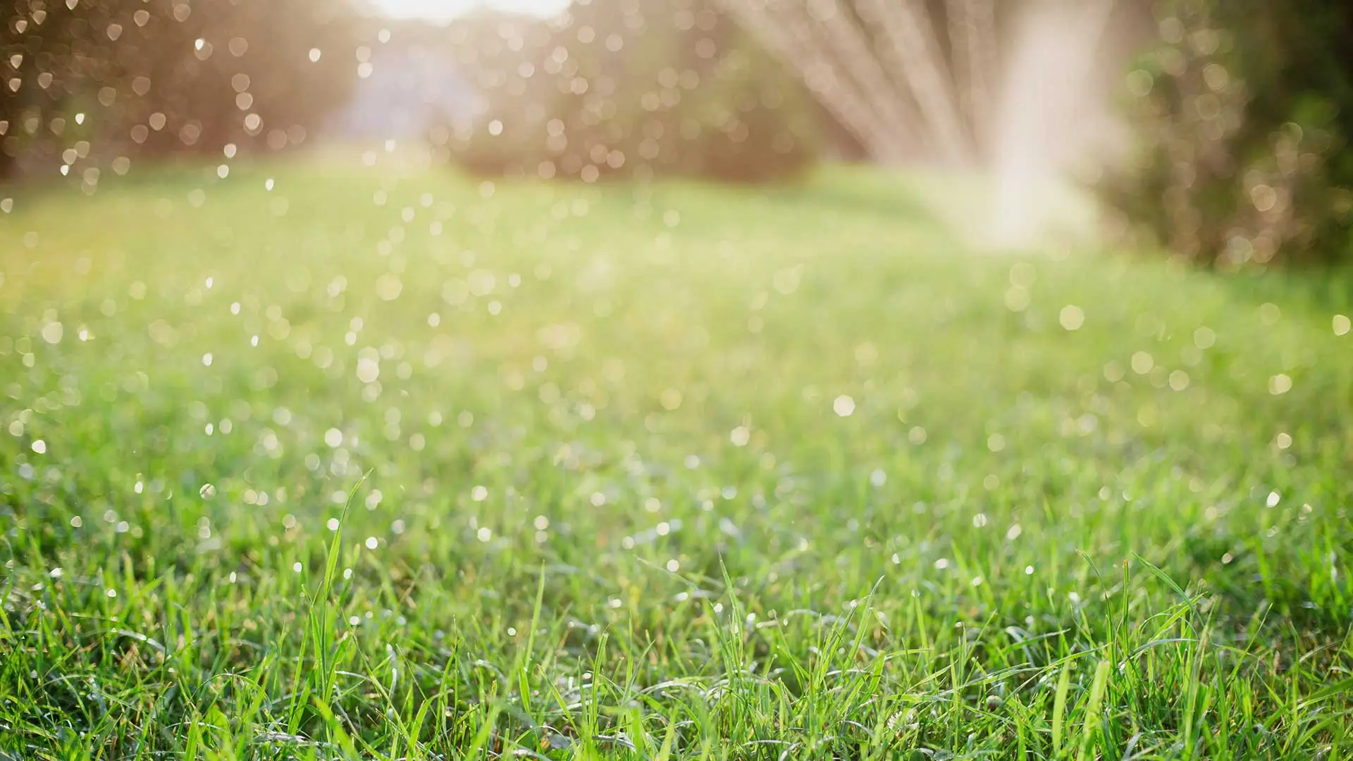 Newly installed irrigation system watering a home lawn in Omaha, NE.