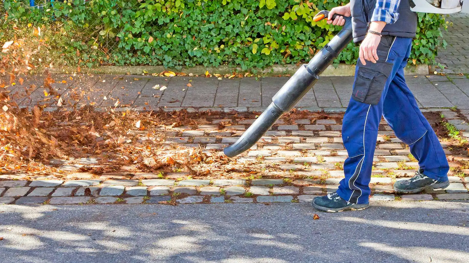 Clearing leaves from a driveway in Omaha, Nebraska.