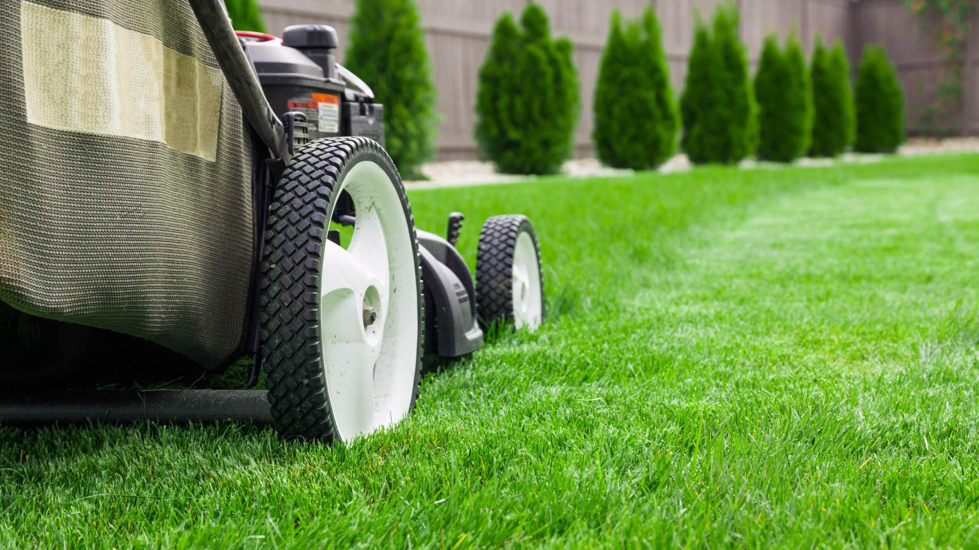 How Often Should You Be Mowing Your Grass in Omaha?