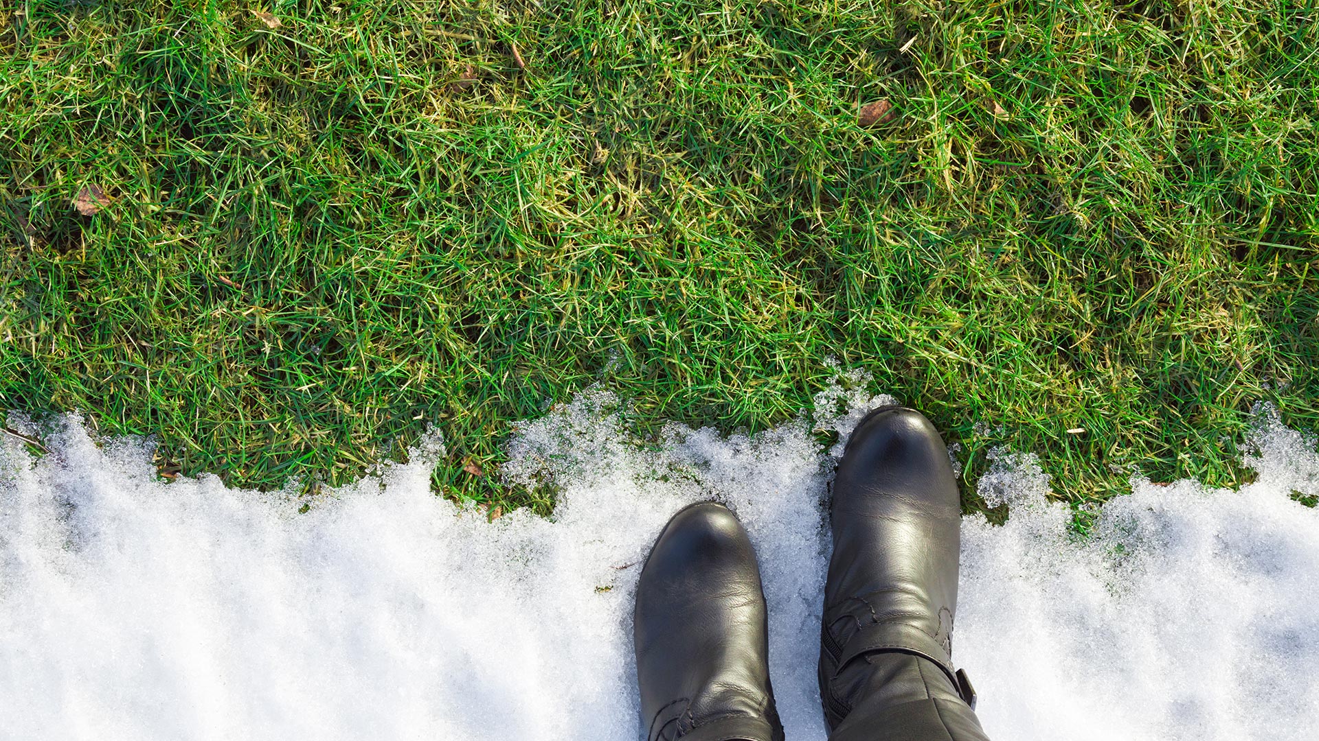 Is a Lawn Winterizer Treatment Really Necessary?