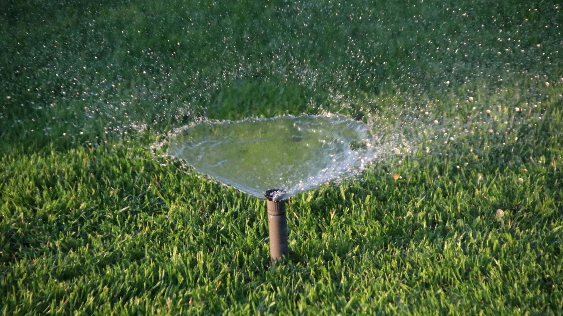 Is It Worth It to Pay a Professional to Perform Your Irrigation Start-Up?