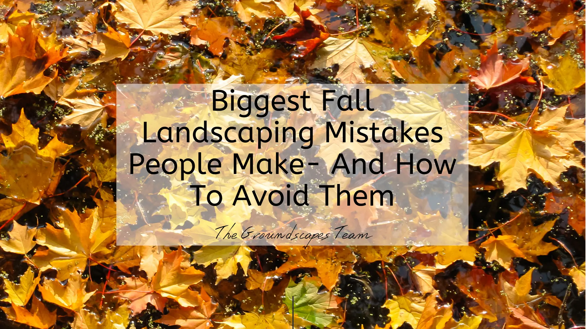 Biggest Fall Landscaping Mistakes People Make- And How To Avoid Them