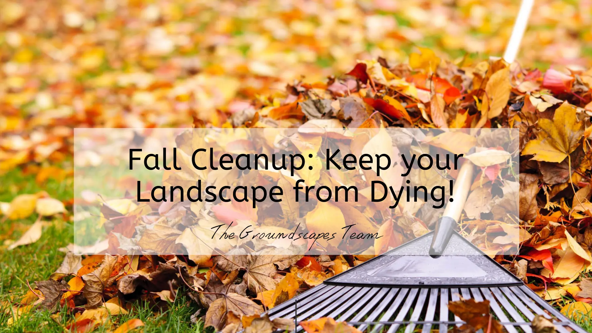 Fall Cleanup: Keep Your Landscape from Dying!