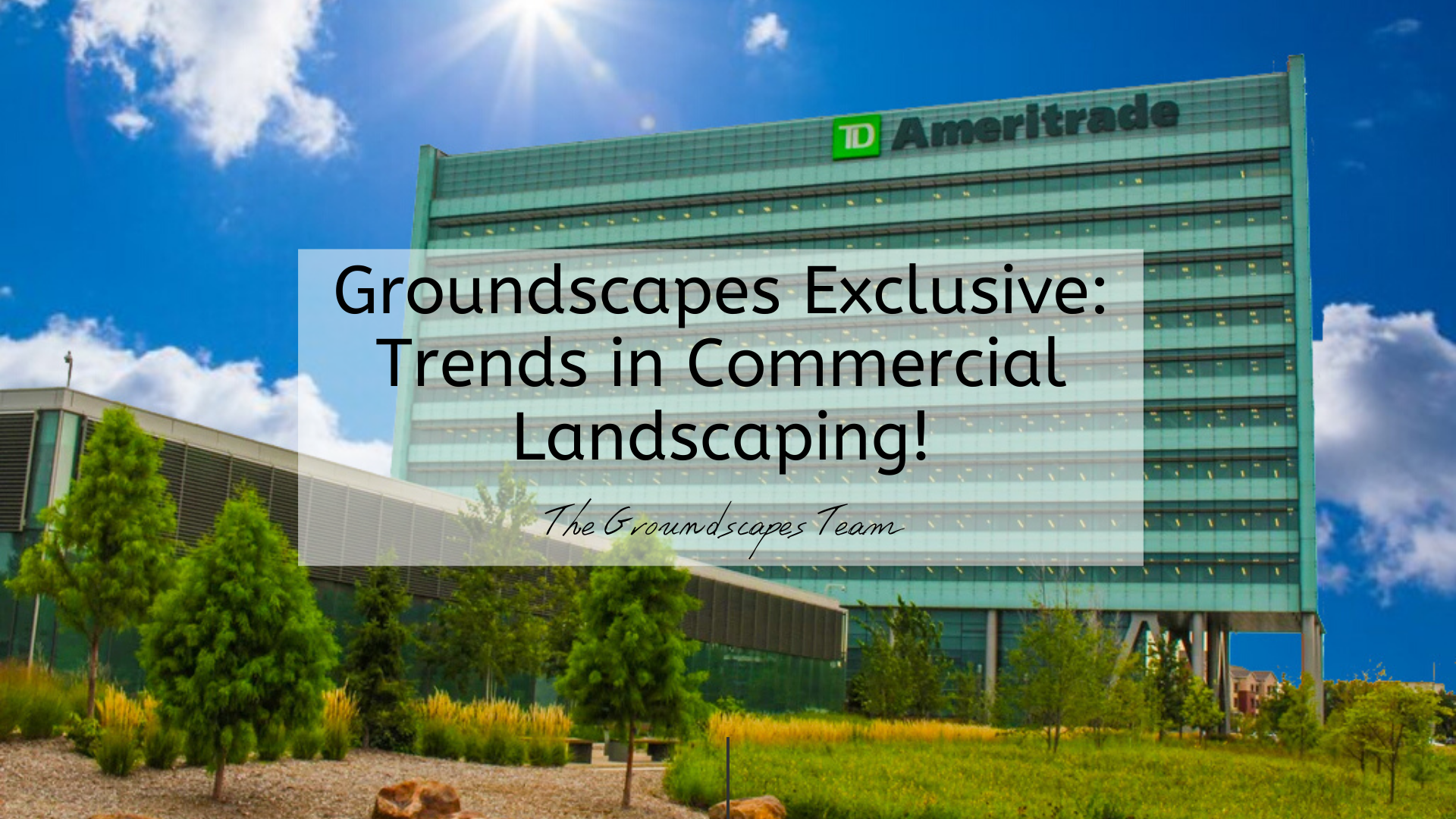 Groundscapes Exclusive: Trends in Commercial Landscaping!