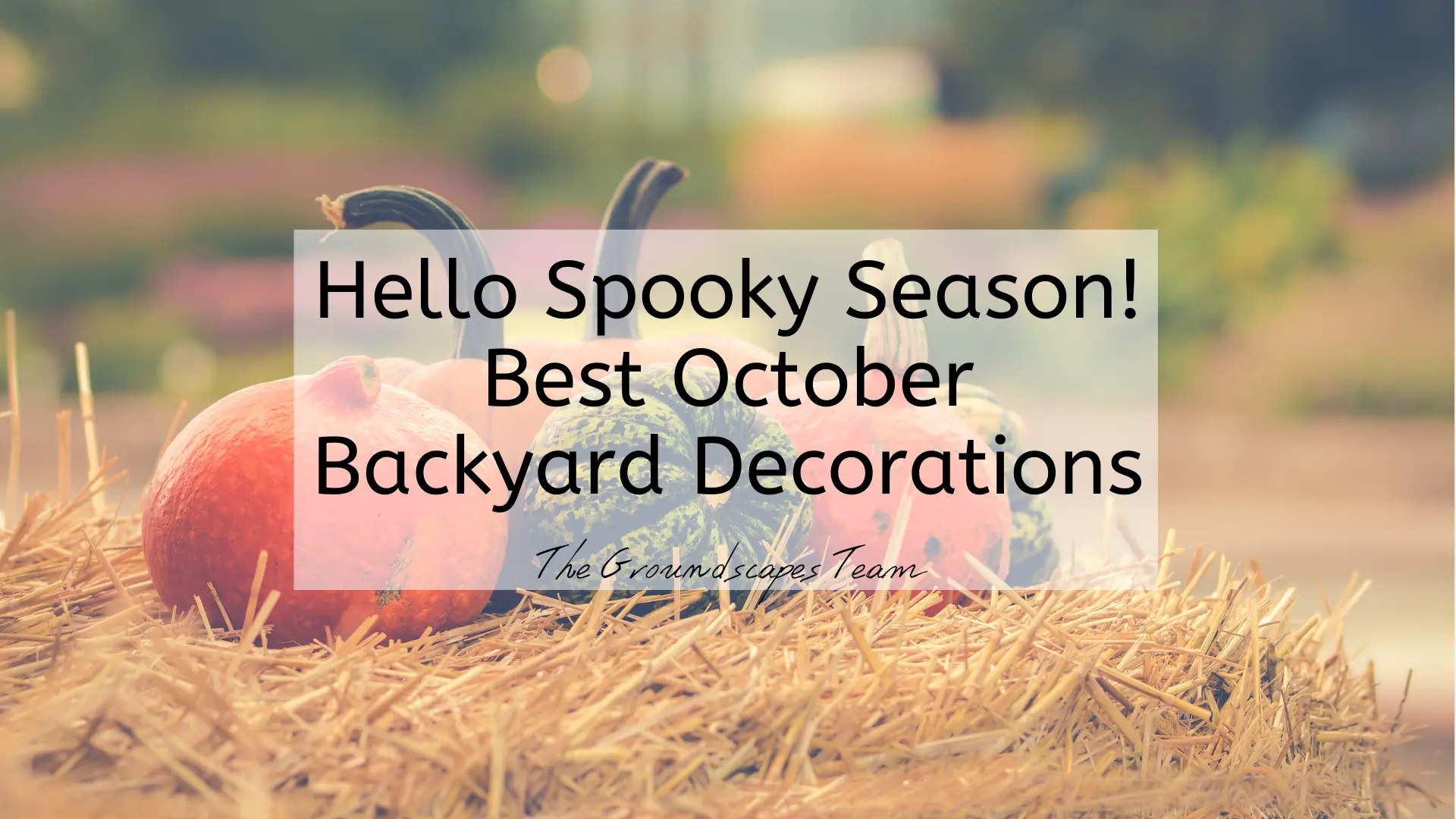 Hello Spooky Season! Best October Backyard Decorations