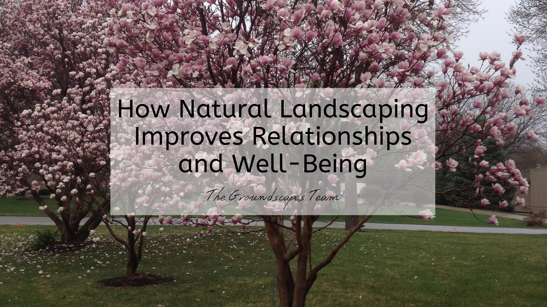 How Natural Landscaping Improves Relationships and Well-Being