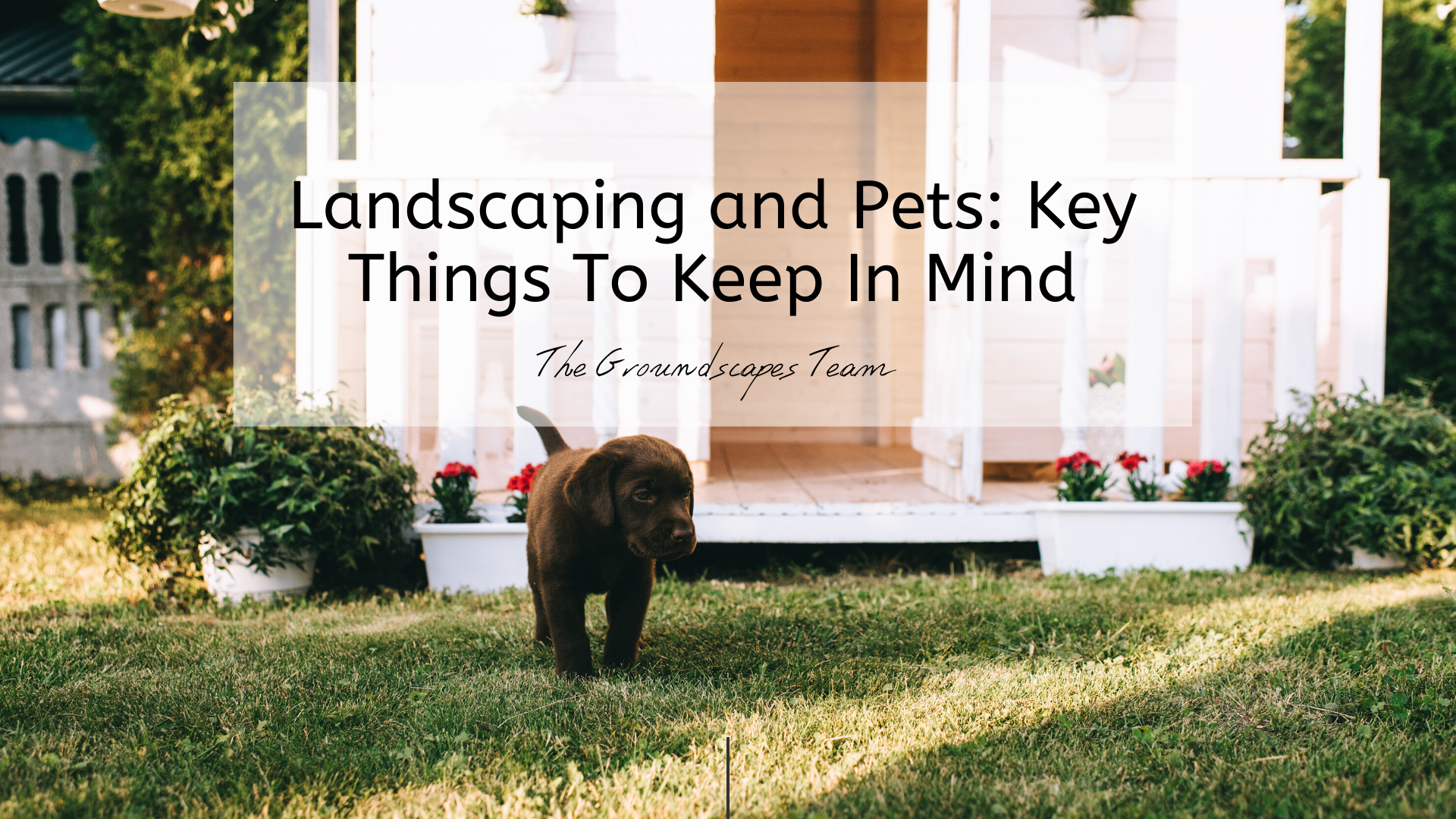 Landscaping and Pets: Key Things To Keep In Mind