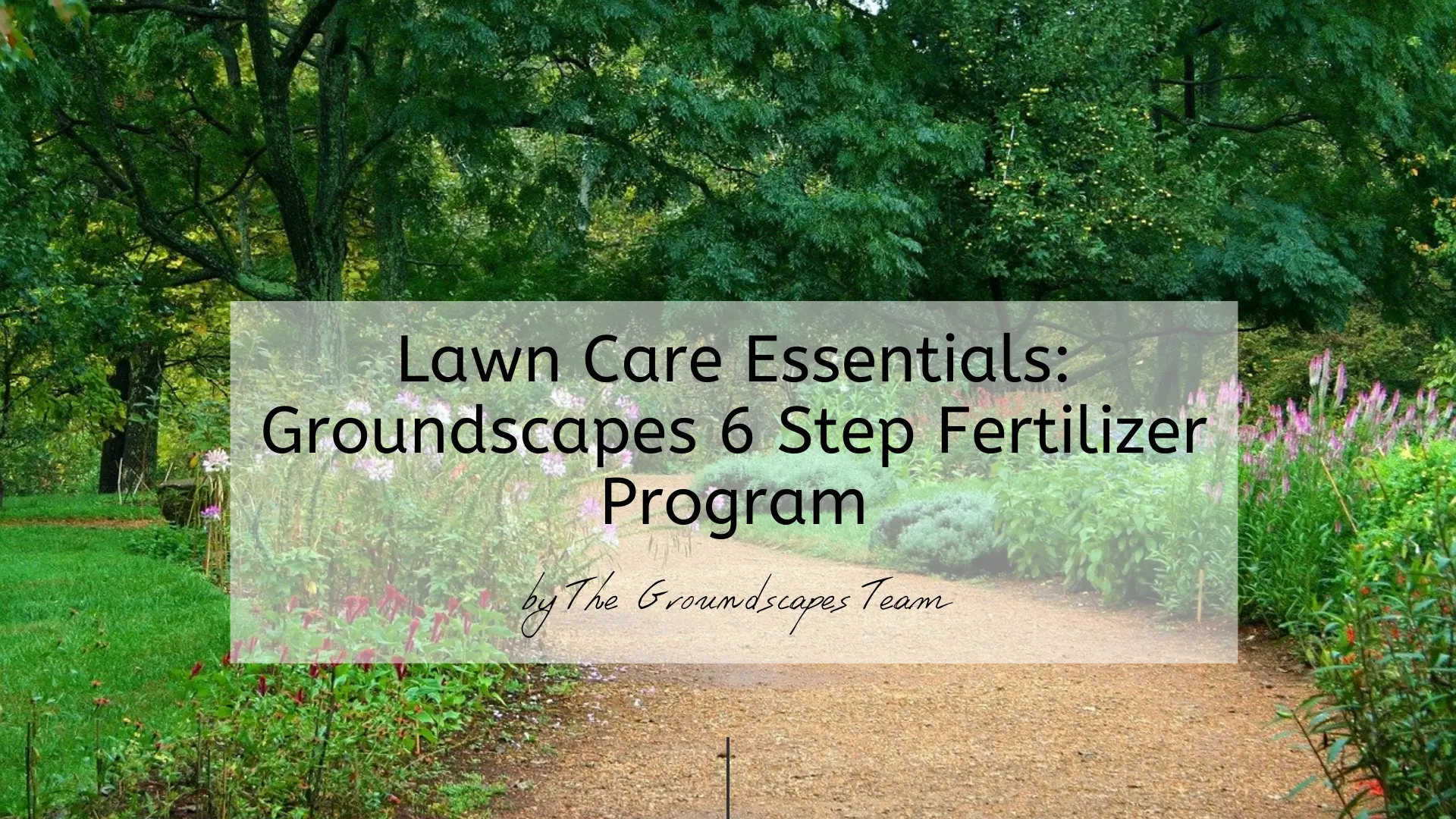 Lawn Care Essentials: Groundscapes 6 Step Fertilizer Program
