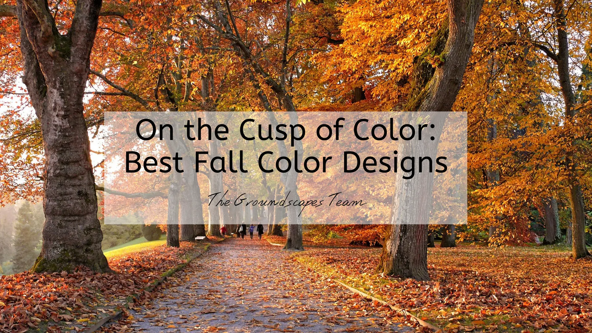 On the Cusp of Color: Best Fall Color Designs