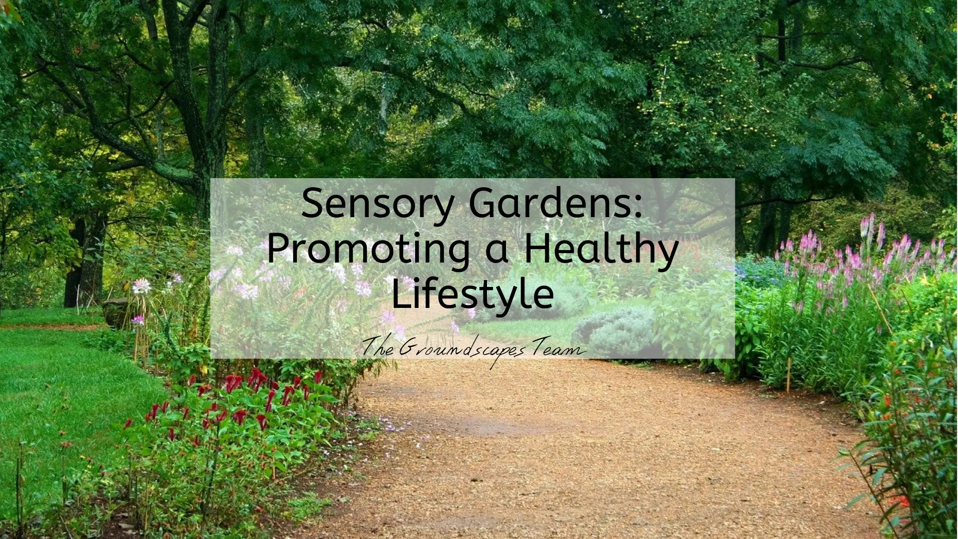 Sensory Gardens: Promoting a Healthy Lifestyle