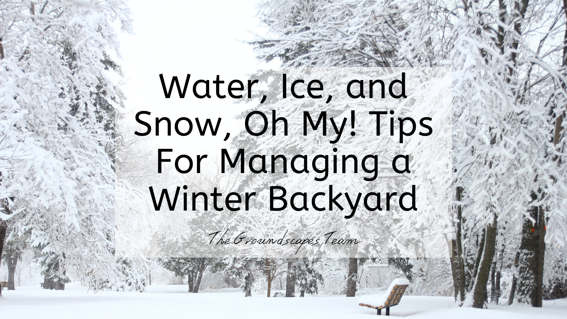 Water, Ice, and Snow, Oh My! Tips For Managing a Winter Backyard