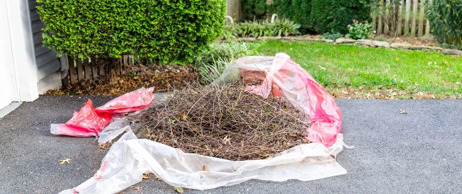 A pile of debris of sticks and twigs in a bag in Omaha, NE.