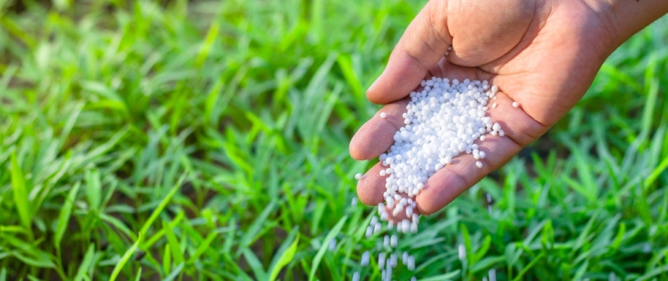 A professional pouring out fertilizer by hand in La Vista, NE.