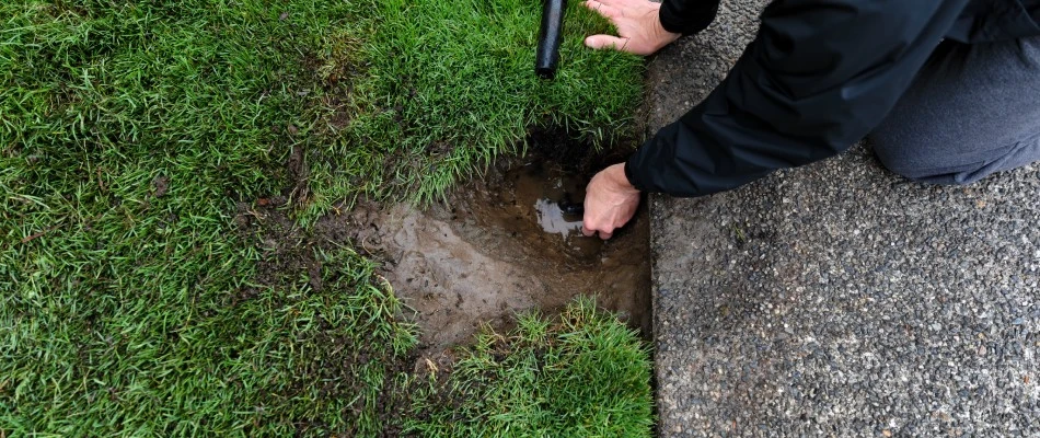 A puddle found due to damaged irrigation system in La Vista, NE.