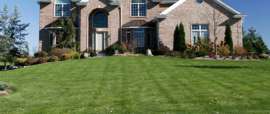 Healthy lawn with lush, green grass at a home in Waterloo, NE.