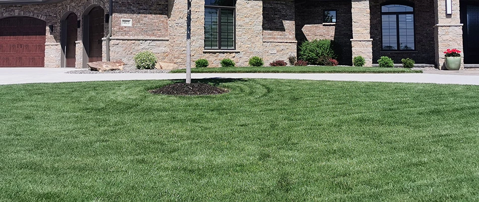 A healthy green lawn with regular services in Bennington, NE.