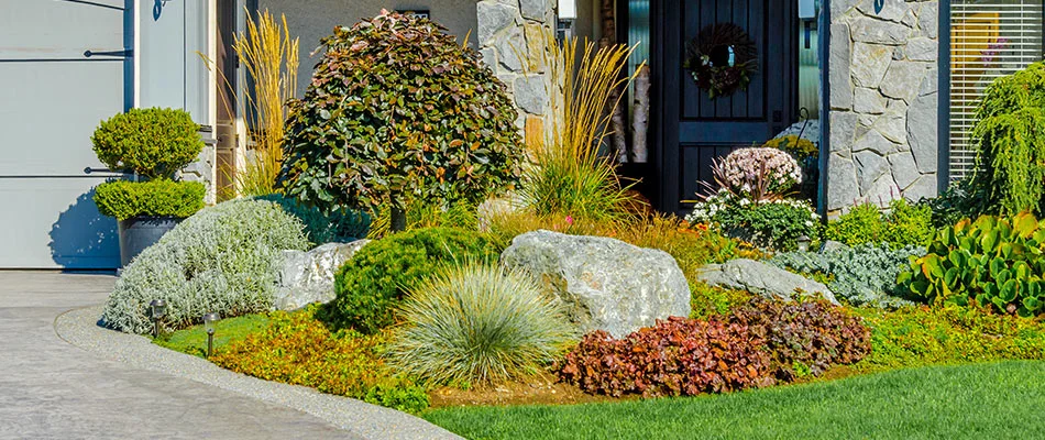 Healthy maintained landscape bed near La Vista, NE.