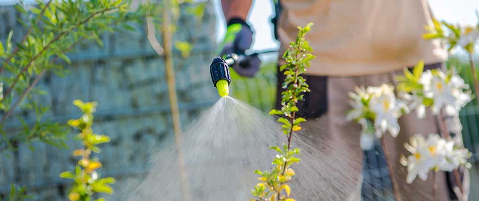 Landscape bed weed control services in North Omaha, NE.
