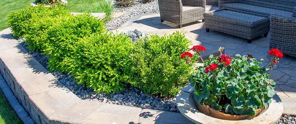 Landscape bed with plantings and annual flowers in Omaha, NE.