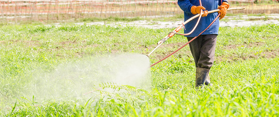 Lawn care professional spraying pesticide on a lawn near Elkhorn, NE.