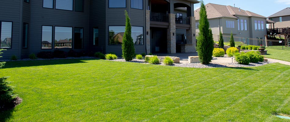 A healthy green lawn in front of a home in Elkhorn, NE.