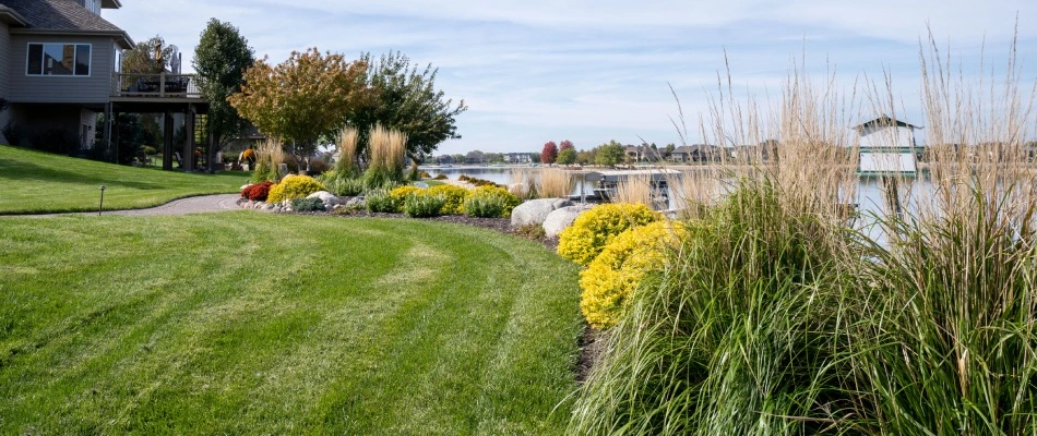 A mowed with left over grass clippings in Gretna, NE.