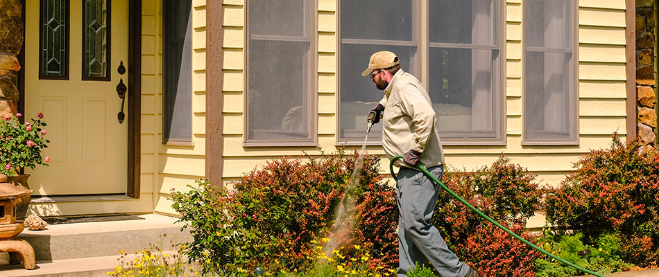 Pest control technician spraying liquid perimeter pest control in Omaha, NE.