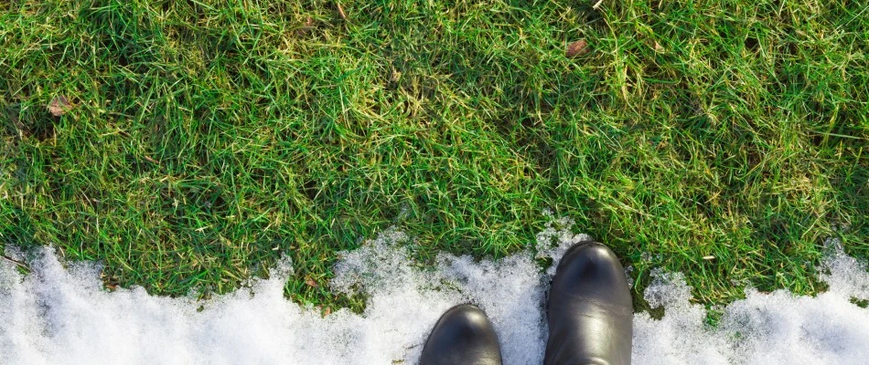Snow melting beside a homeowner's feet across a damp green lawn in Gretna, NE.